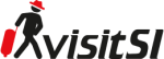 visitSI